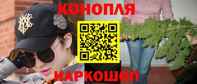 прущие крисы Краснодар