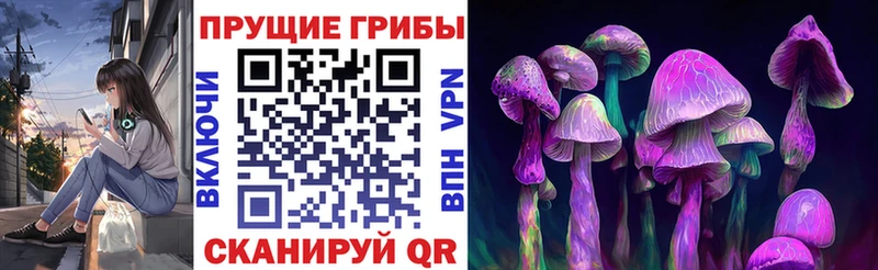 Галлюциногенные грибы мицелий купить наркотик Туапсе