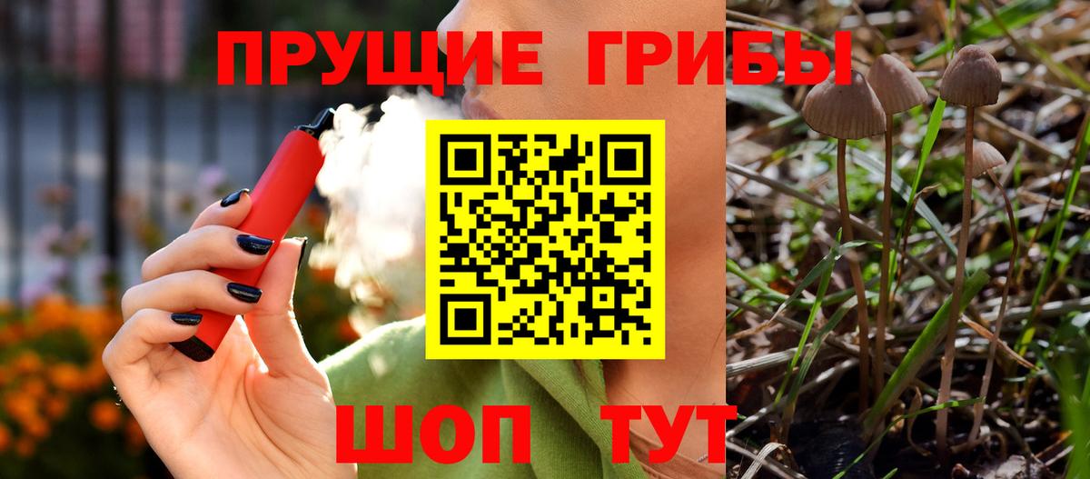 Галлюциногенные грибы ЛСД Туапсе