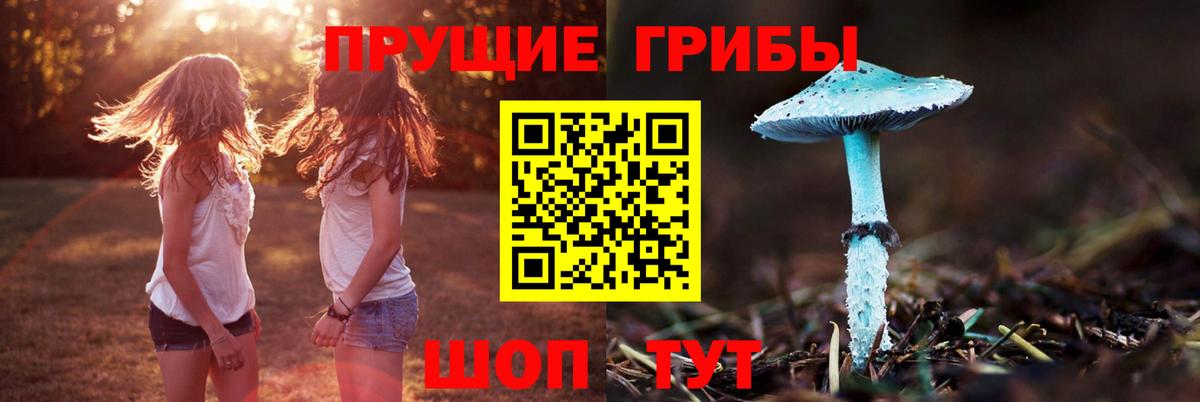 Туапсе  Псилоцибиновые грибы Cubensis  наркошоп  Галлюциногенные грибы Magic Shrooms  Вход с VPN 